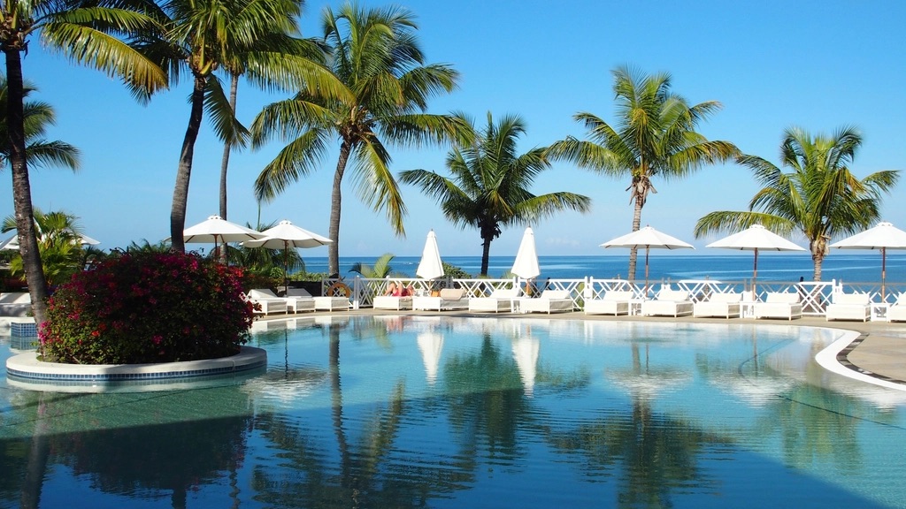 A bright beachfront resort pool with palm trees and white umbrellas by the ocean